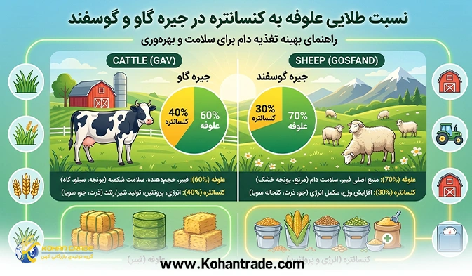 نسبت طلایی علوفه به کنسانتره در جیره گاو و گوسفند؛ راهنمای جامع مدیریت تغذیه اصولی