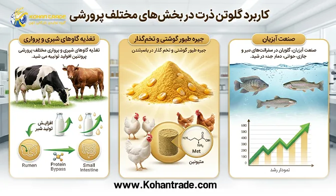 کاربرد گلوتن ذرت در بخش‌های مختلف پرورشی