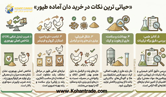 حیاتی ترین نکات در خرید دان آماده طیور