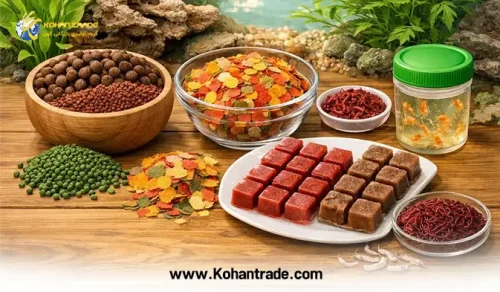 خوراک آبزیان