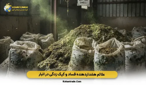 علائم هشداردهنده فساد و کپک زدگی در انبار