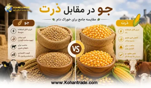 جو بهتر است یا ذرت؟ مقایسه خوراک دام (نظر دکتر فارسی‌ نژاد)