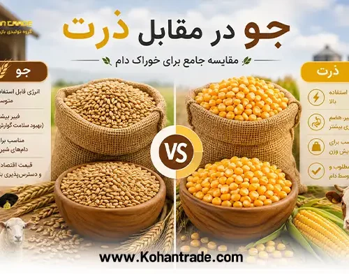 جو بهتر است یا ذرت؟ مقایسه خوراک دام (نظر دکتر فارسی‌ نژاد)