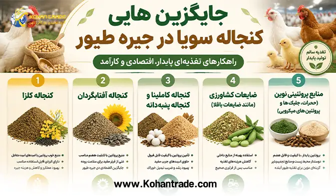 جایگزین هایی کنجاله سویا در جیره طیور