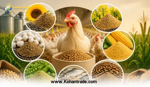 جایگزین هایی کنجاله سویا در جیره طیور
