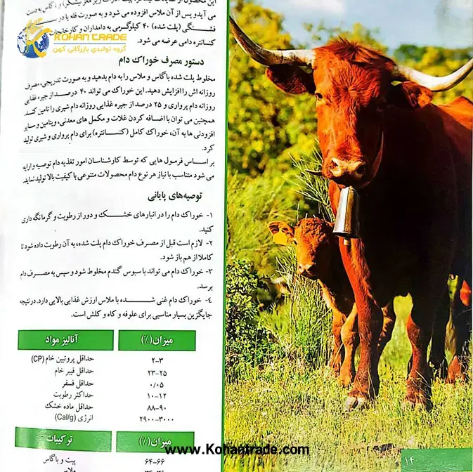 sugarcane-based-animal-feed-4 5