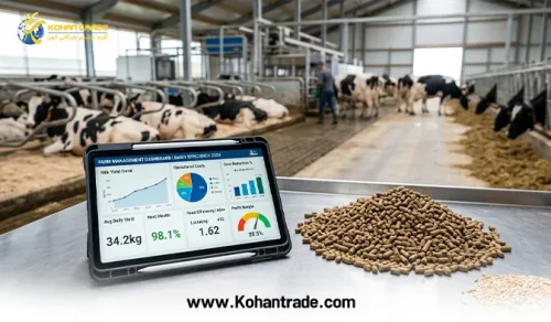 راهنمای عملی کاهش هزینه و افزایش سود گاوداری‌ ها در شرایط کنونی اقتصاد دامپروری