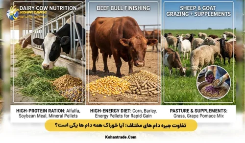 تفاوت جیره دام‌ های مختلف؛ آیا خوراک همه دام‌ ها یکی است؟