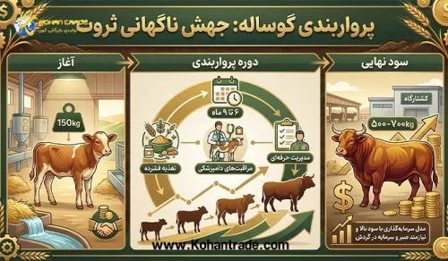 گوساله پرواری (جهش ناگهانی ثروت)