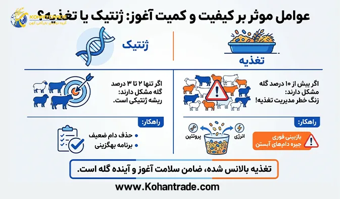 تأثیر عوامل ژنتیکی و تغذیه‌ ای بر کیفیت و کمیت آغوز