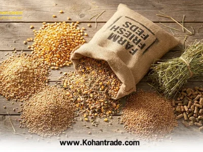 خوراک دام از چی درست میشه؟ (بررسی جامع صفر تا صد ترکیبات جیره)