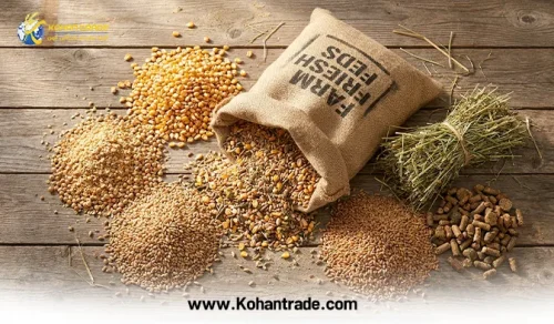 خوراک دام از چی درست میشه؟ (بررسی جامع صفر تا صد ترکیبات جیره)
