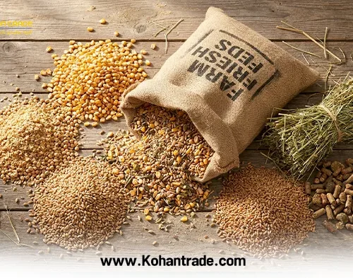 خوراک دام از چی درست میشه؟ (بررسی جامع صفر تا صد ترکیبات جیره)