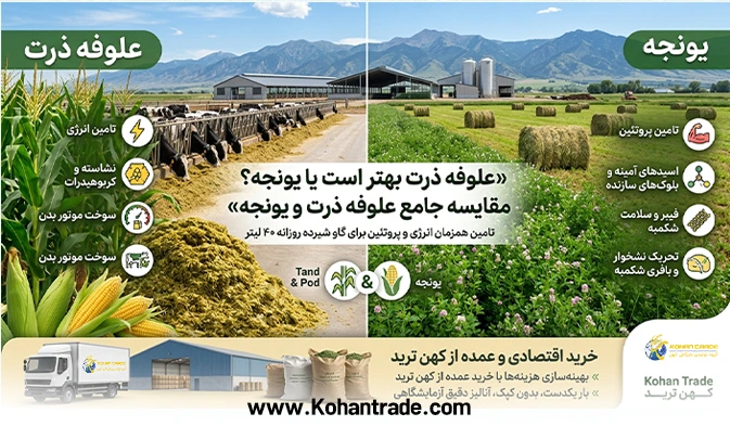 علوفه ذرت بهتر است یا یونجه: مقایسه جامع علوفه ذرت و یونجه